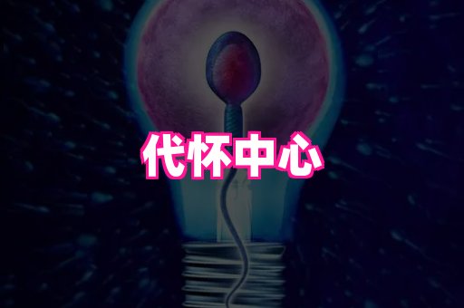 qina_正规代怀_代怀套餐